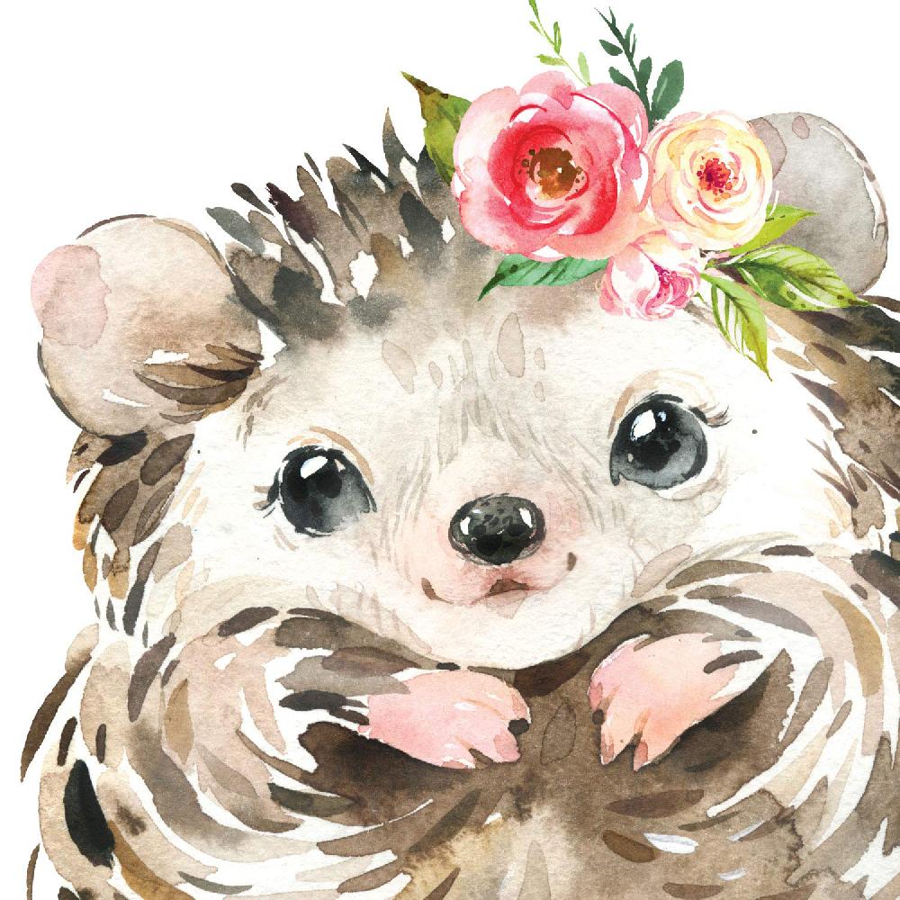 Nacnic Pack De Láminas De Animales: Erizo Caballo Zorro Y Buho