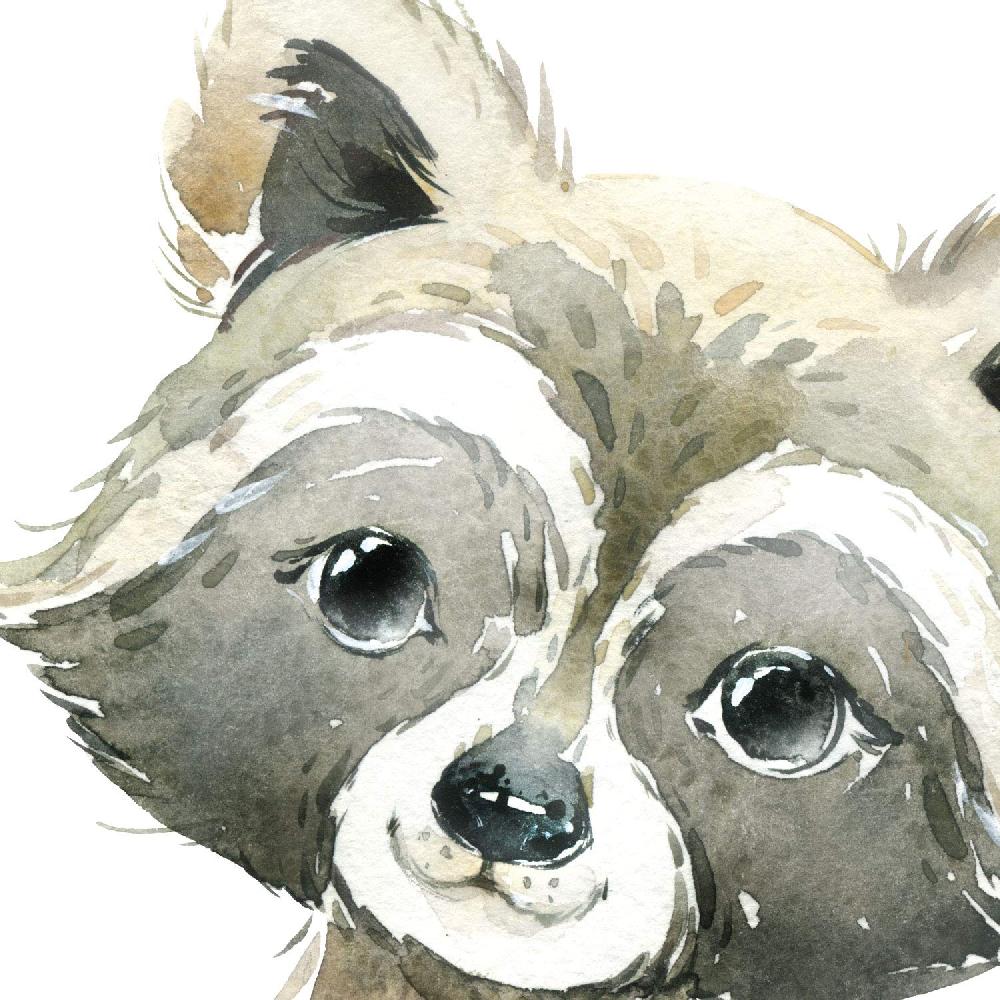 Nacnic Pack De Láminas De Animales: Mapache Ciervo Mofeta Y Zorro