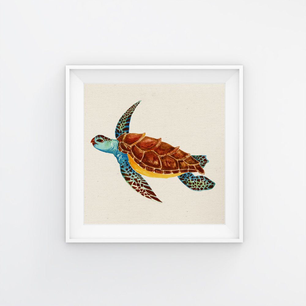 Nacnic Pack De Láminas De Dos Tortugas De Alta Calidad