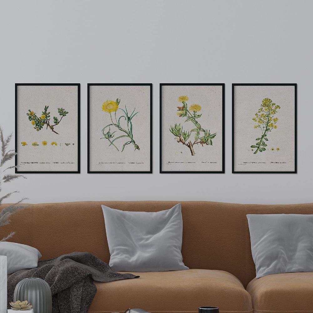 Nacnic Pack De Láminas De Flores Amarillas En Acuarela De Pierre-Joseph Redouté