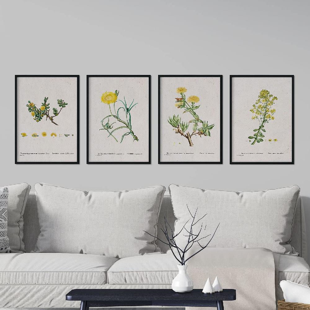 Nacnic Pack De Láminas De Flores Amarillas En Acuarela De Pierre-Joseph Redouté