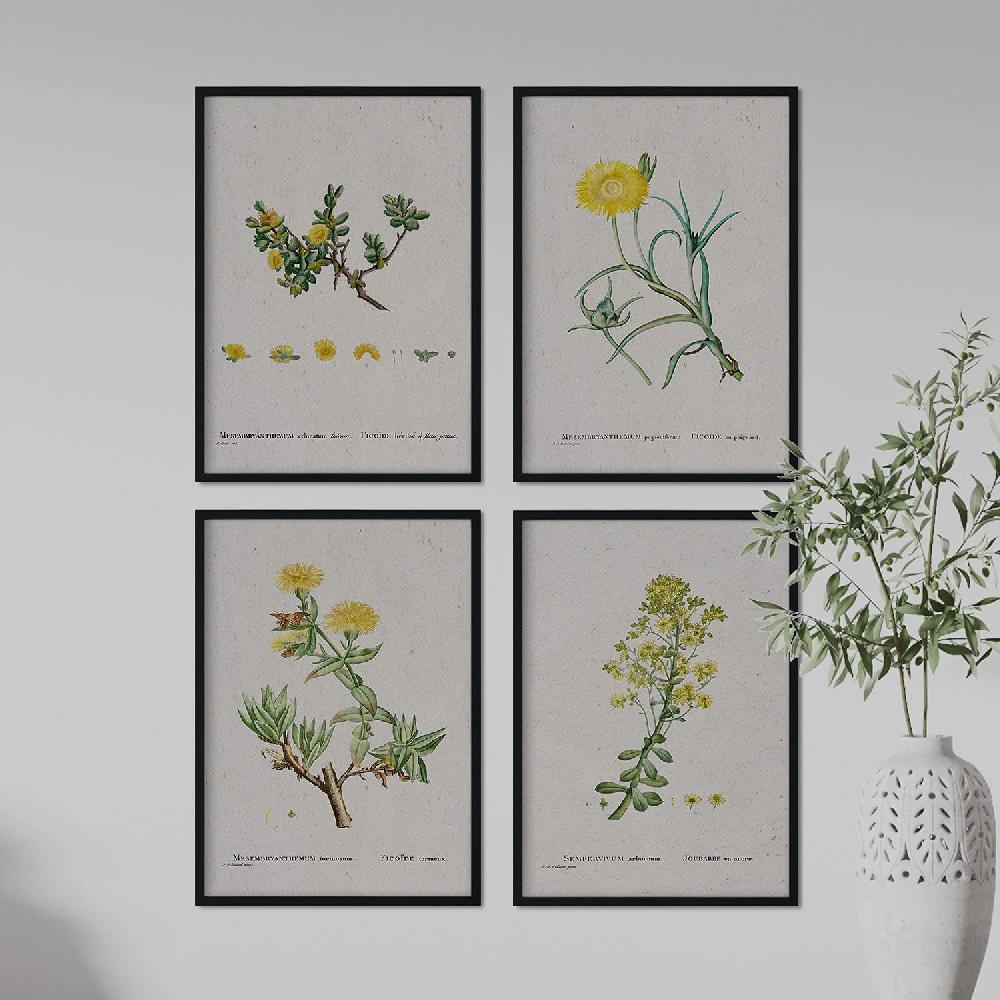 Nacnic Pack De Láminas De Flores Amarillas En Acuarela De Pierre-Joseph Redouté