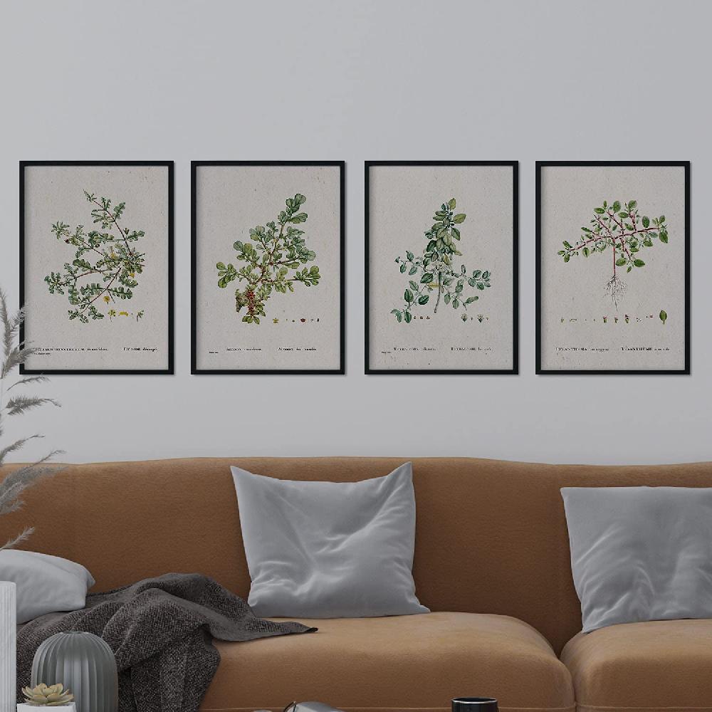 Nacnic Pack De Láminas De Ilustraciones Acuarela Pierre-Joseph Redouté