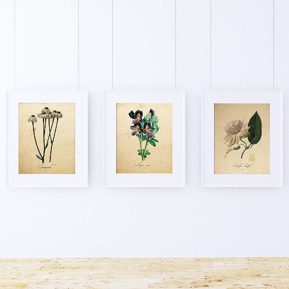 nacnic Pack de Láminas de Infusión Botánica de Alta Calidad