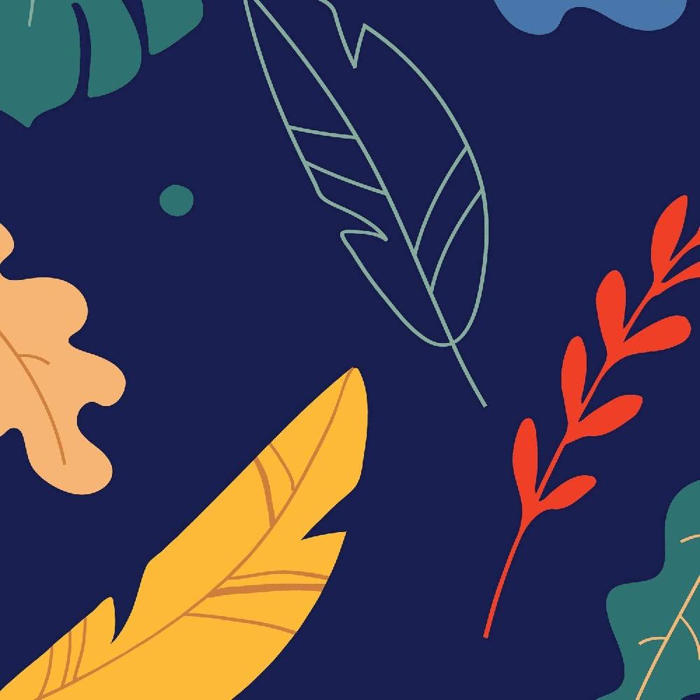 Nacnic Pack De Láminas De Mujeres Cotidianas Y Naturaleza