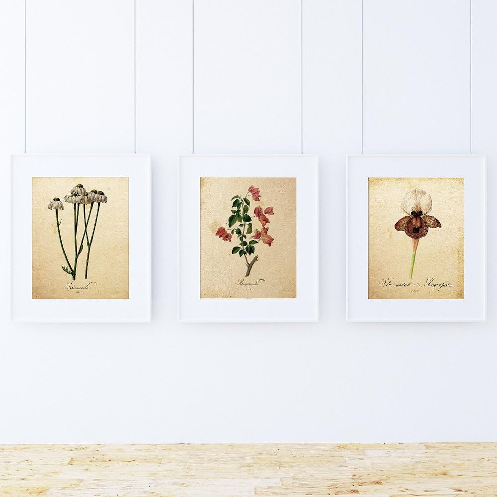 nacnic Pack de Láminas Elegance de Botánica Alta Calidad