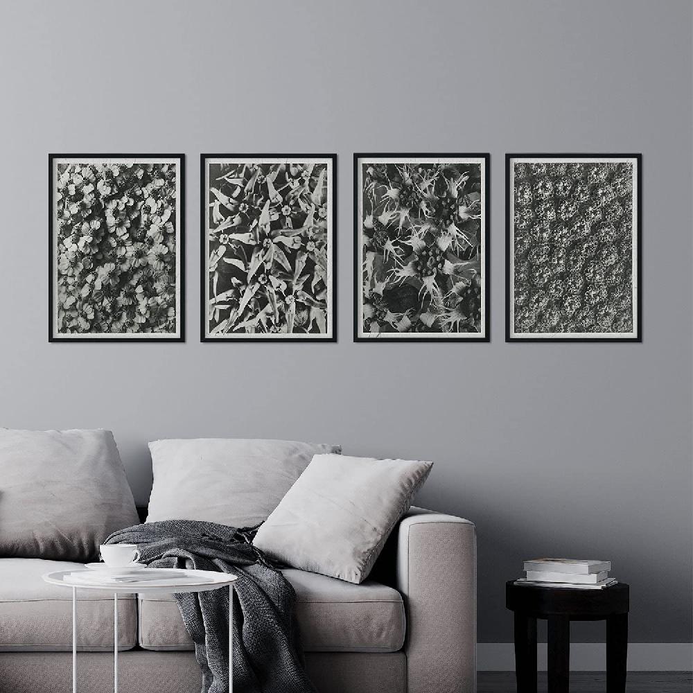 Nacnic Pack De Láminas Patrón Con Ilustraciones De Flores Y Plantas Grises