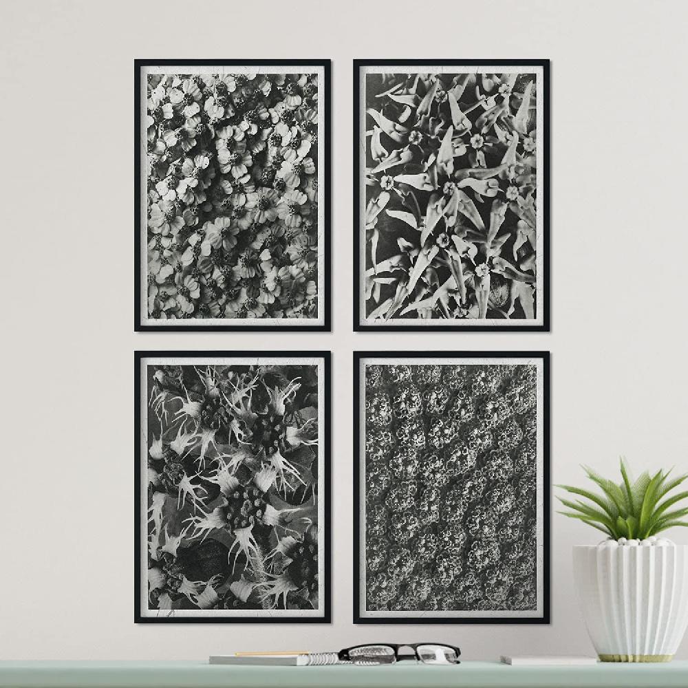 Nacnic Pack De Láminas Patrón Con Ilustraciones De Flores Y Plantas Grises