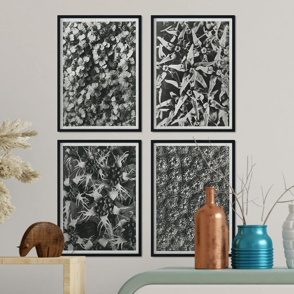 Nacnic Pack De Láminas Patrón Con Ilustraciones De Flores Y Plantas Grises