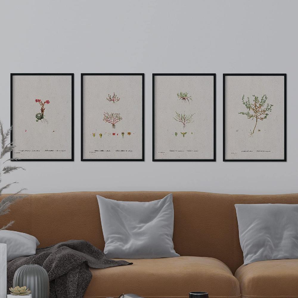 Nacnic Pack De Láminas Plantas Pequeñas De Pierre-Joseph Redouté En Acuarela