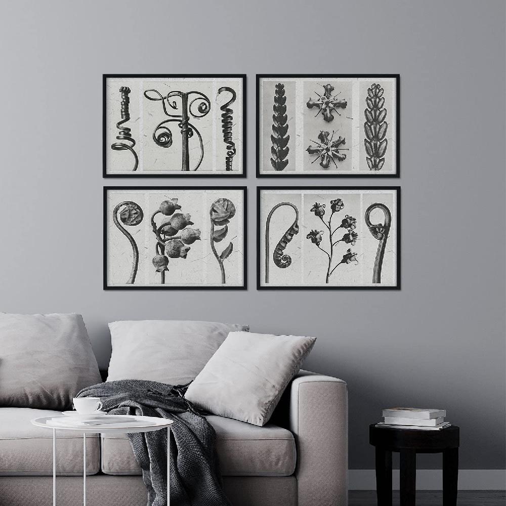 Nacnic Pack De Láminas Rizos Con Ilustraciones De Flores Y Plantas En Tonos Grises