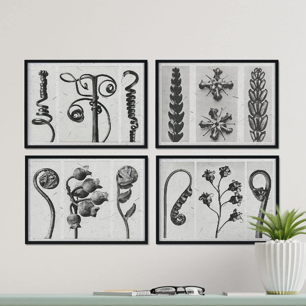 Nacnic Pack De Láminas Rizos Con Ilustraciones De Flores Y Plantas En Tonos Grises