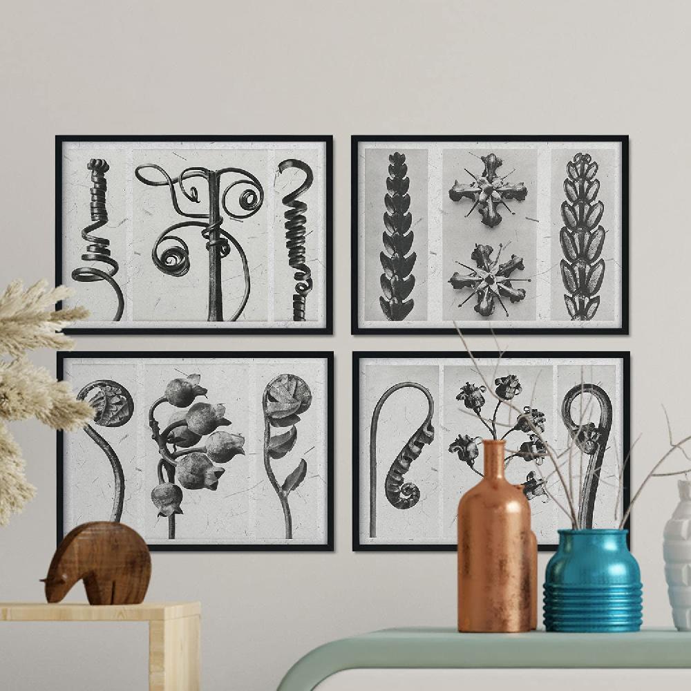 Nacnic Pack De Láminas Rizos Con Ilustraciones De Flores Y Plantas En Tonos Grises