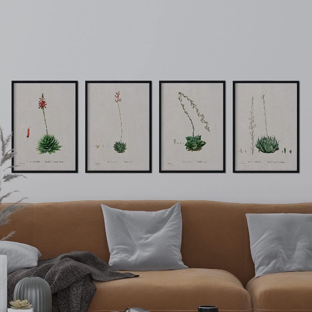 Nacnic Pack De Láminas Suculentas 2 De Pierre-Joseph Redouté En Acuarela