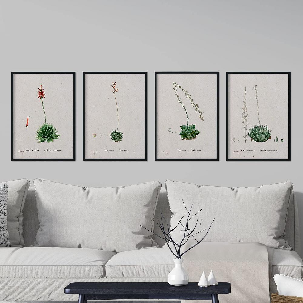 Nacnic Pack De Láminas Suculentas 2 De Pierre-Joseph Redouté En Acuarela