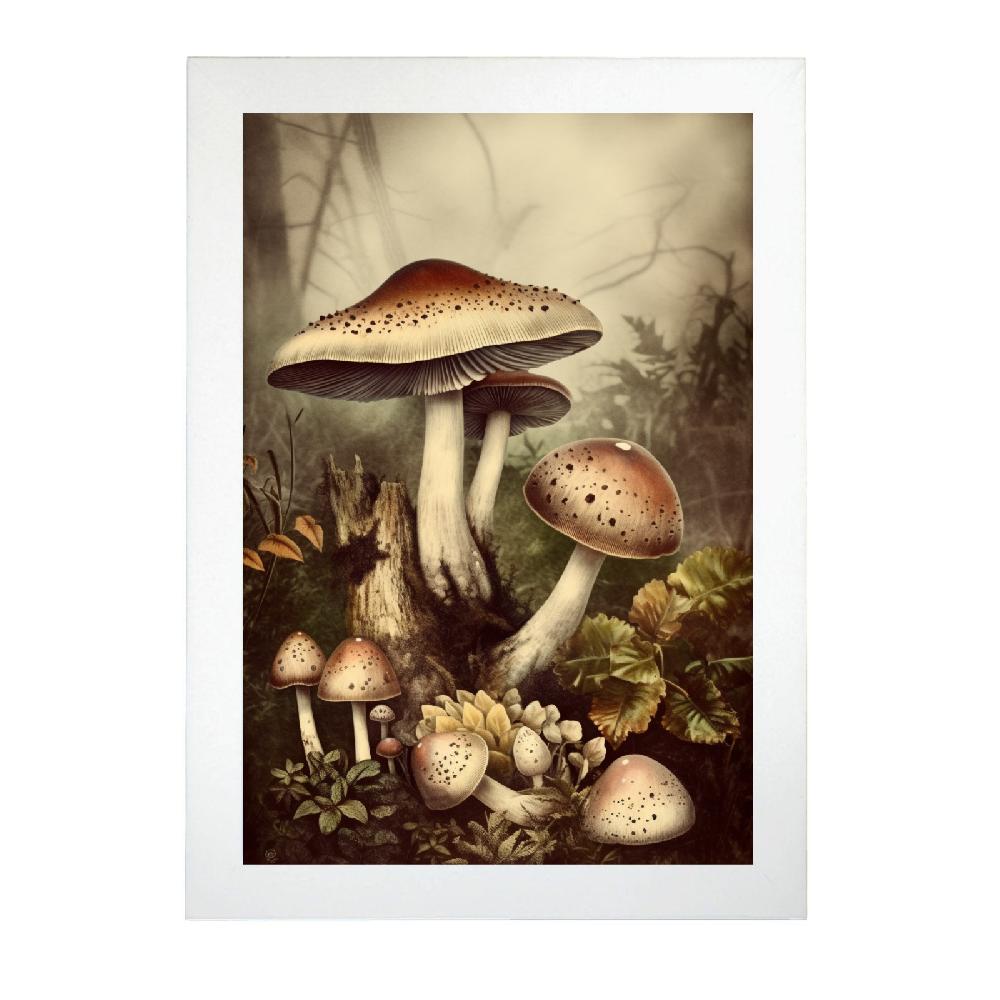 Nacnic Póster Vintage De Hongos Antiguos En El Bosque