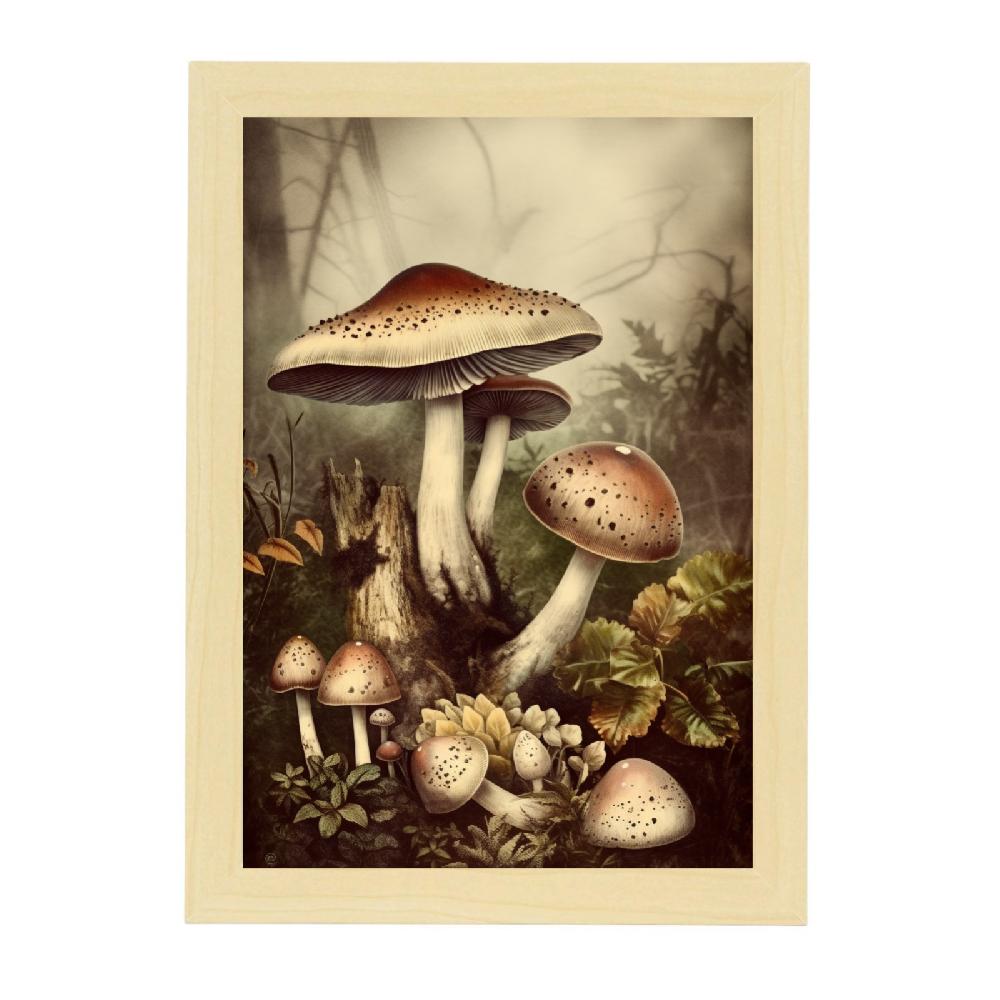 Nacnic Póster Vintage De Hongos Antiguos En El Bosque