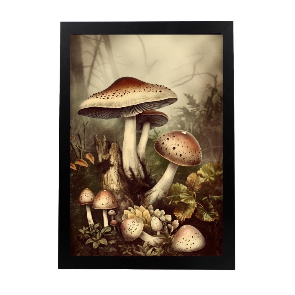 nacnic Póster Vintage de Hongos Antiguos en el Bosque