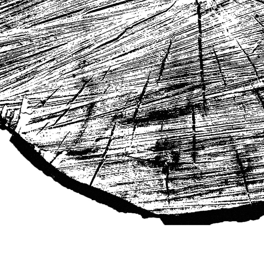 Nacnic Set De 3 Láminas De Naturaleza En Blanco Y Negro