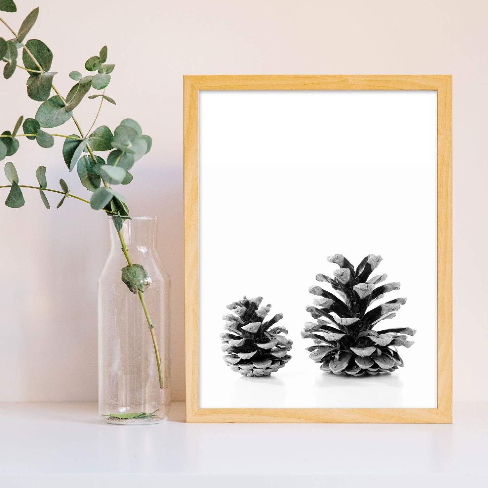 Nacnic Set De 3 Láminas De Piñas De Pino En Blanco Y Negro