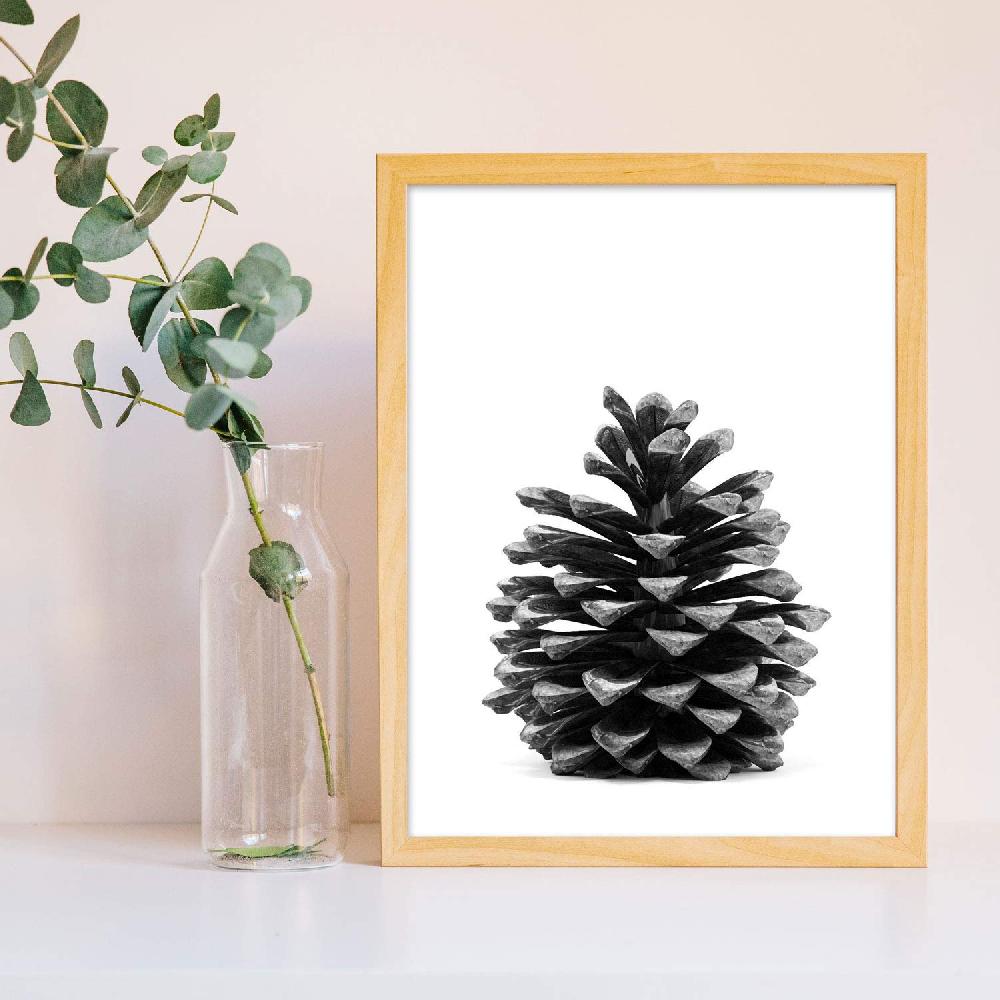 Nacnic Set De 3 Láminas De Piñas De Pino En Blanco Y Negro