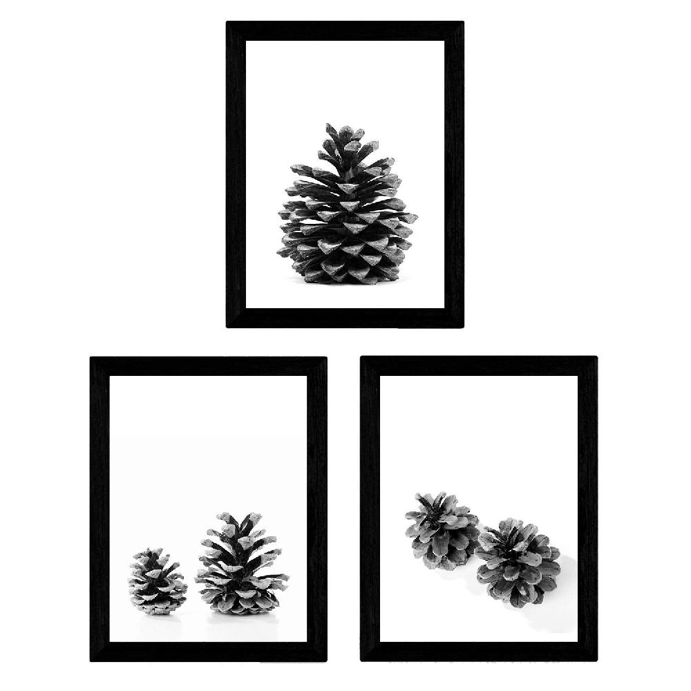 nacnic Set de 3 láminas de piñas de pino en blanco y negro