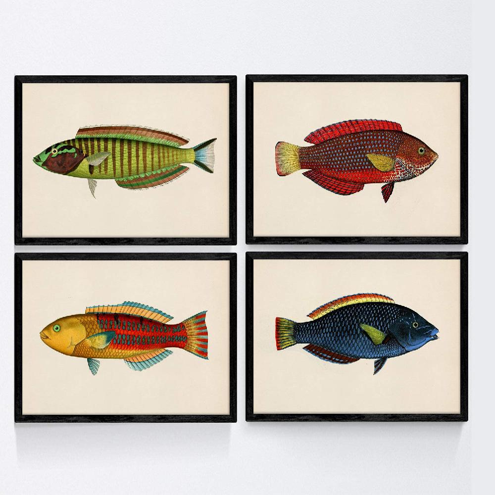 nacnic Set de 4 láminas de peces coloridos en tono vintage