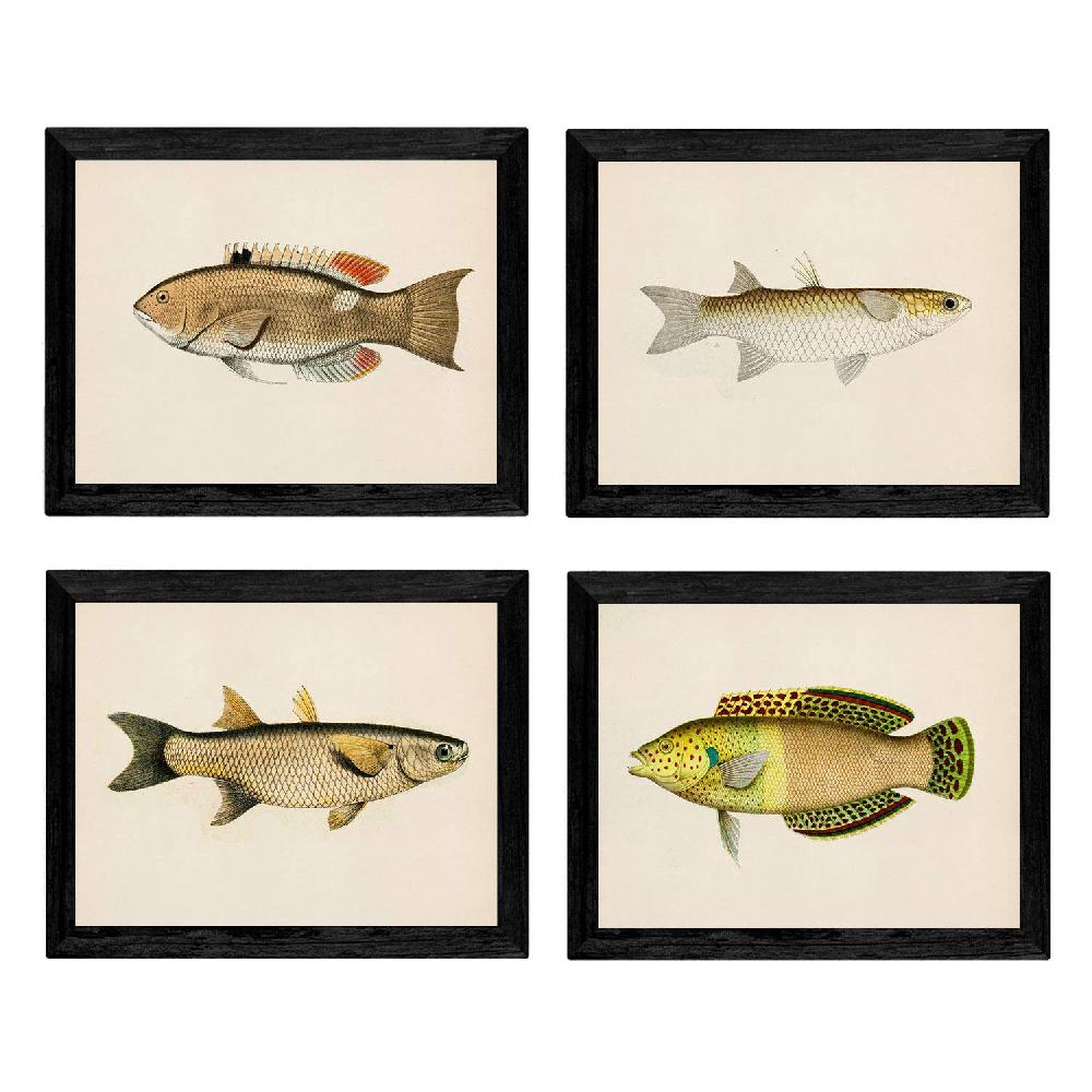 nacnic Set de 4 láminas de peces coloridos vintage en tono amarillo beige