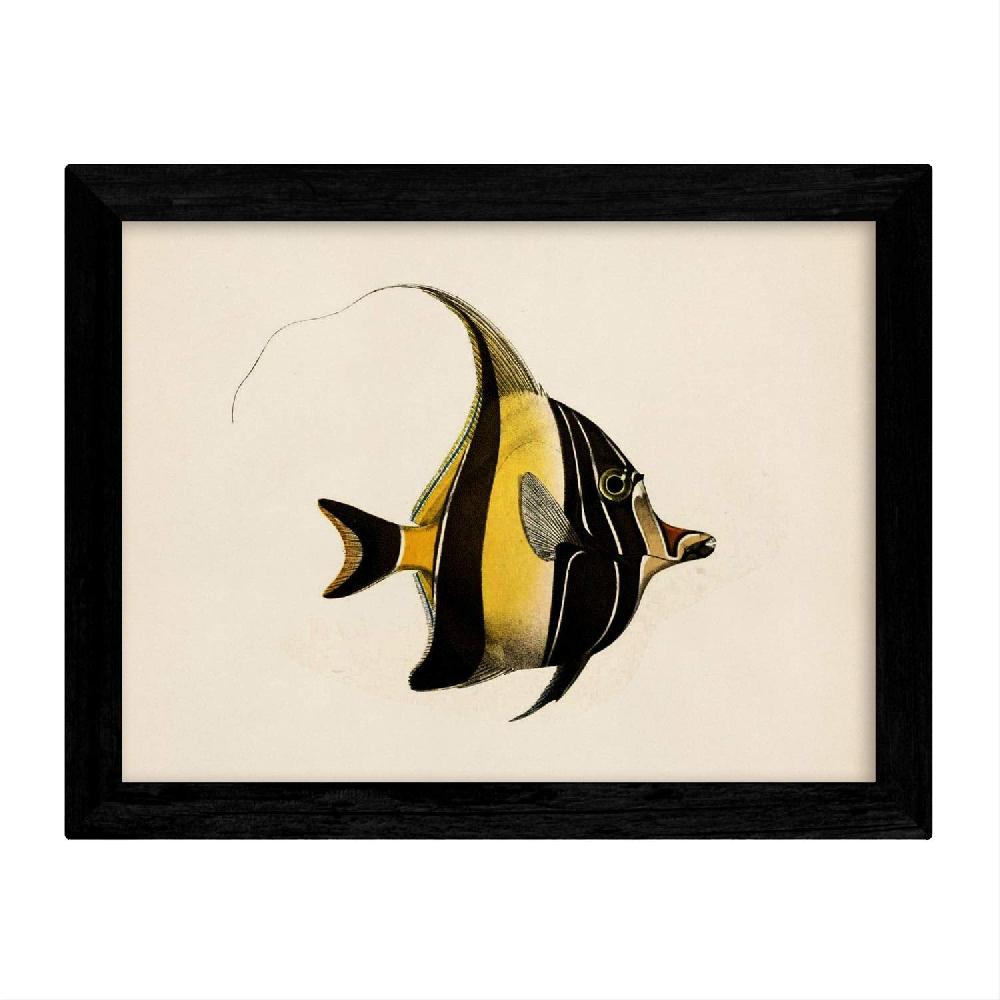Nacnic Set De 4 Láminas De Peces Coloridos Vintage En Tono Amarillo