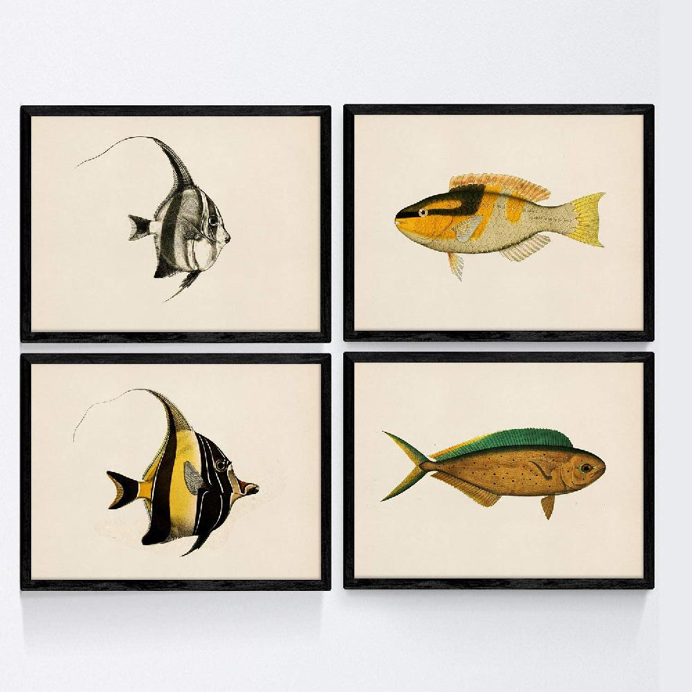 nacnic Set de 4 láminas de peces coloridos vintage en tono amarillo