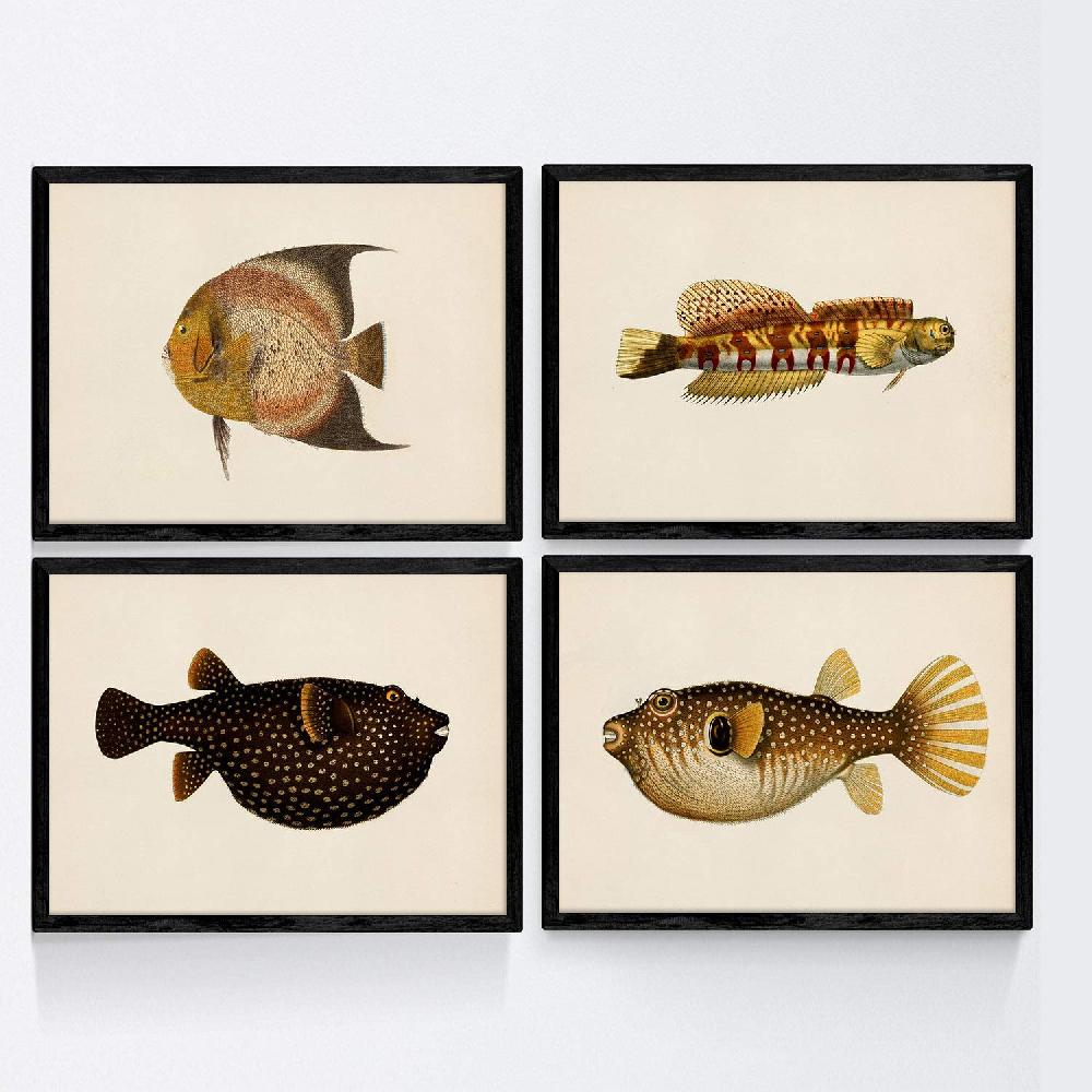 nacnic Set de 4 láminas de peces coloridos vintage en tono amarillo negro