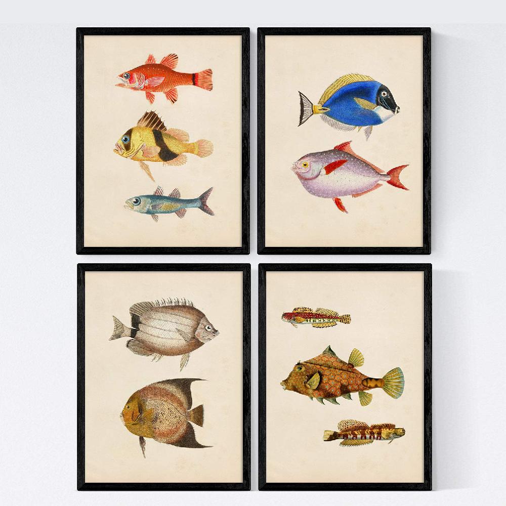 nacnic Set de 4 láminas vintage de peces coloridos Atlantico