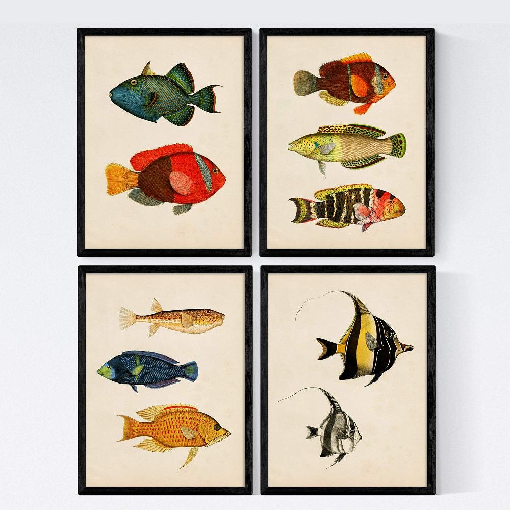 nacnic Set de 4 láminas vintage de peces coloridos Baleares