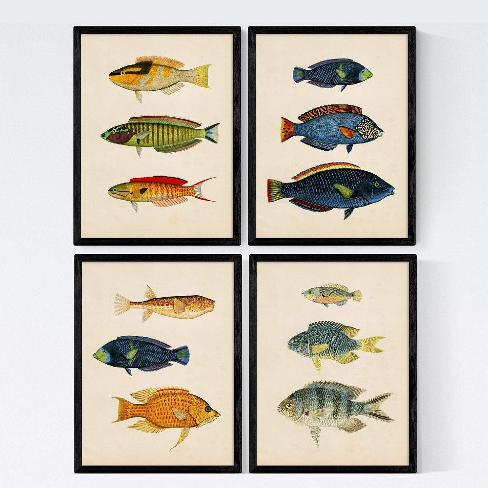 nacnic Set de 4 láminas vintage de peces coloridos del Caribe