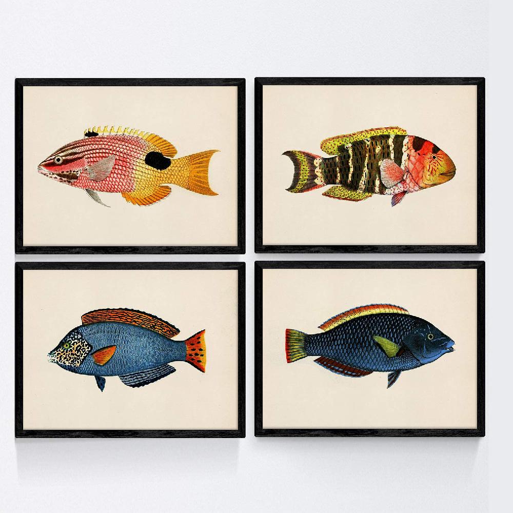 nacnic Set de 4 láminas vintage de peces coloridos en azul y amarillo