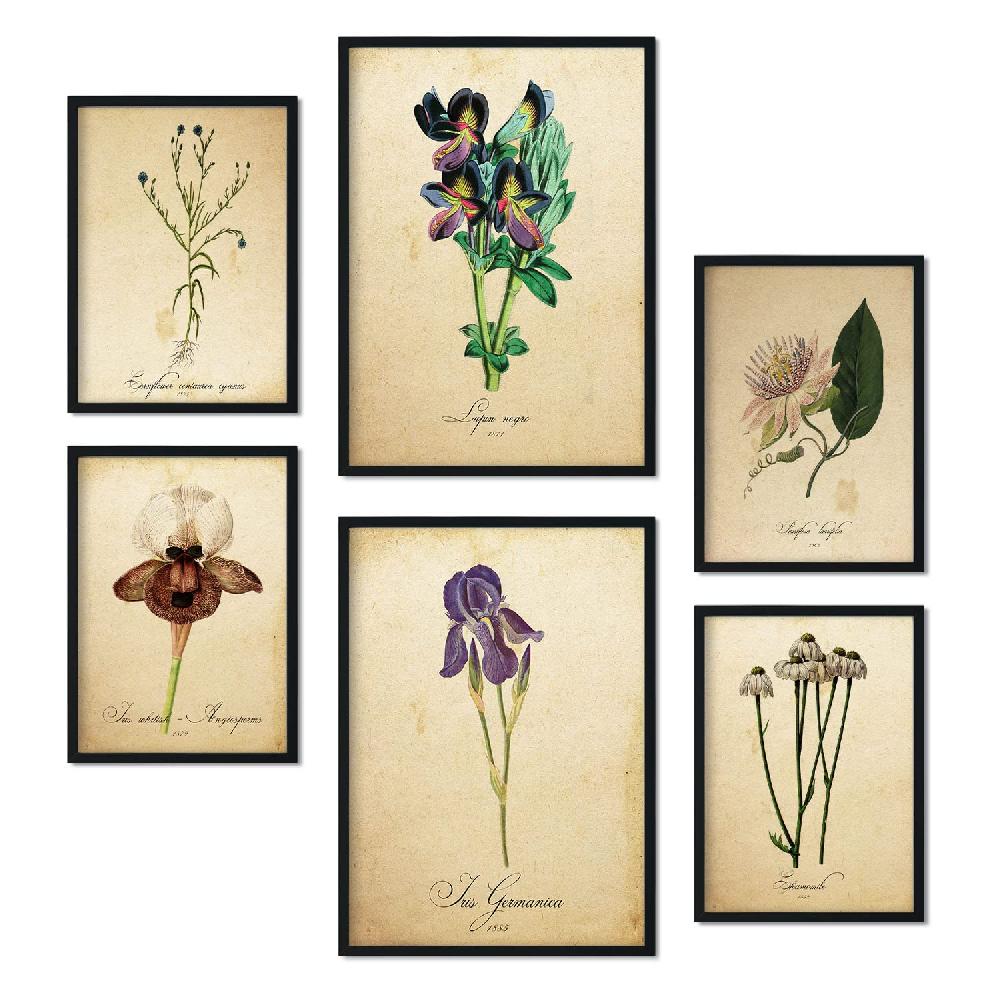 Nacnic Set De 6 Láminas De Flores Vintage Estilo Collage