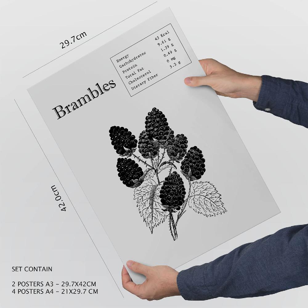 Nacnic Set De 6 Láminas De Frutas Con Estética Collage