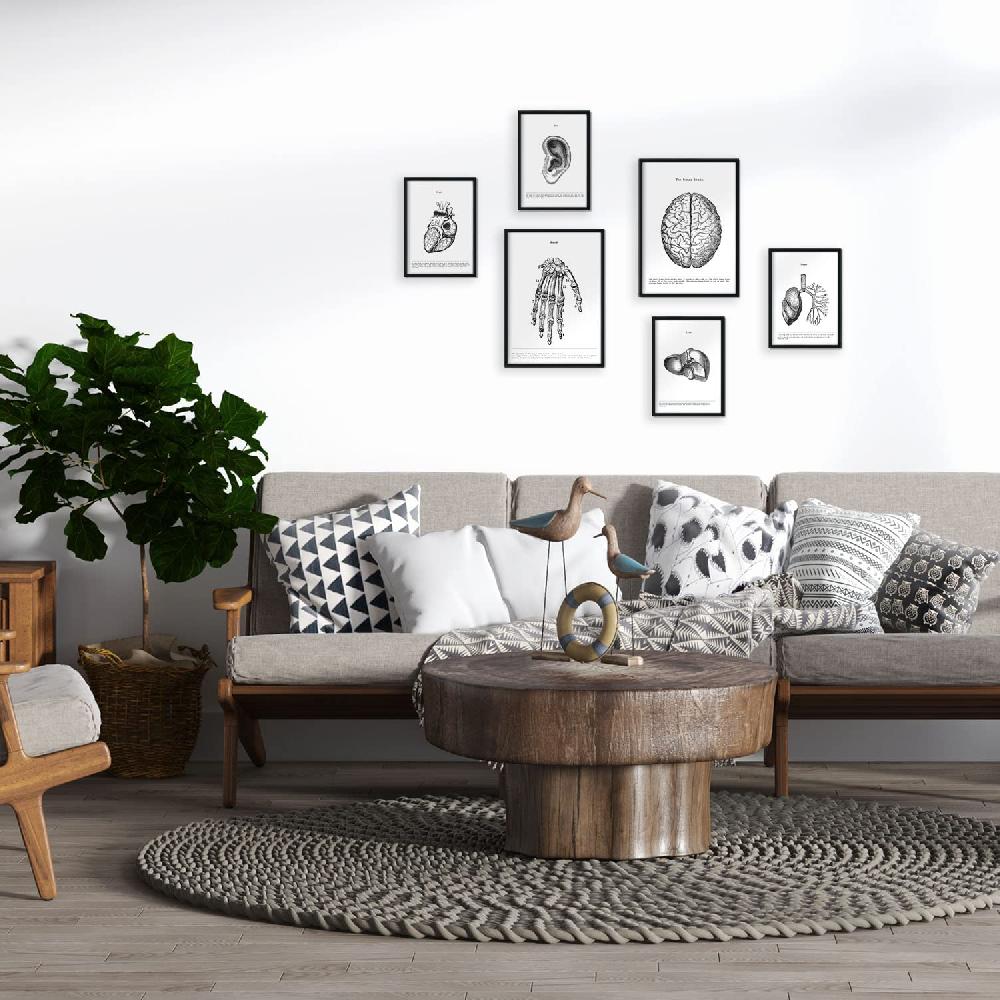 Nacnic Set De 6 Láminas De Órganos Con Estética Collage