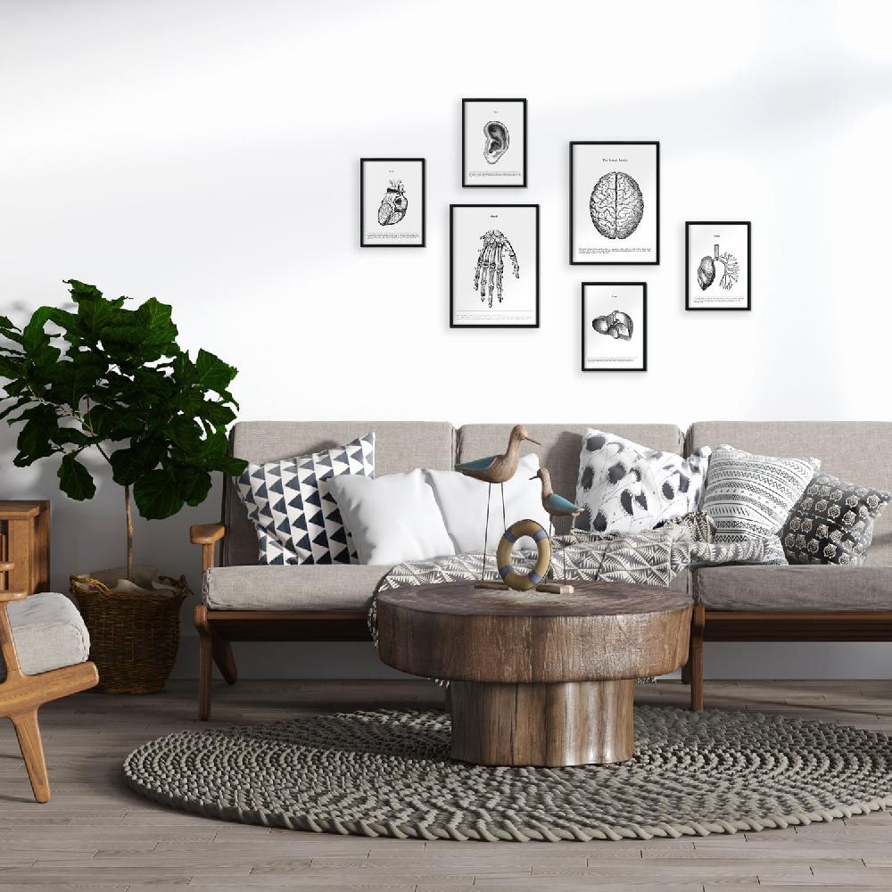 nacnic Set de 6 láminas de Órganos con estética collage