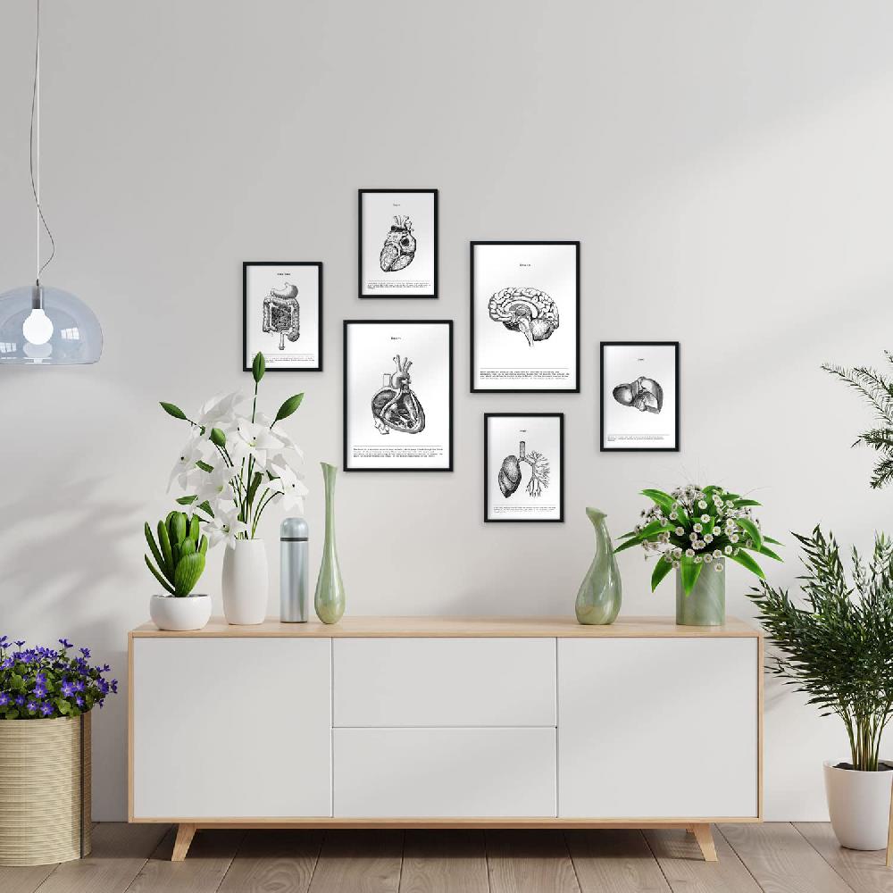 Nacnic Set De 6 Láminas De Órganos Internos Con Estética Collage