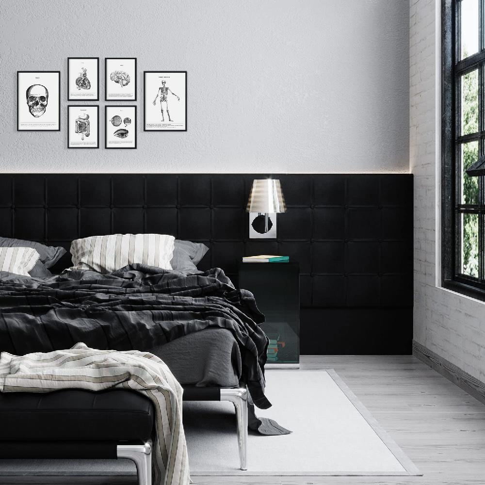 Nacnic Set De 6 Láminas De Órganos Y Huesos Estilo Collage