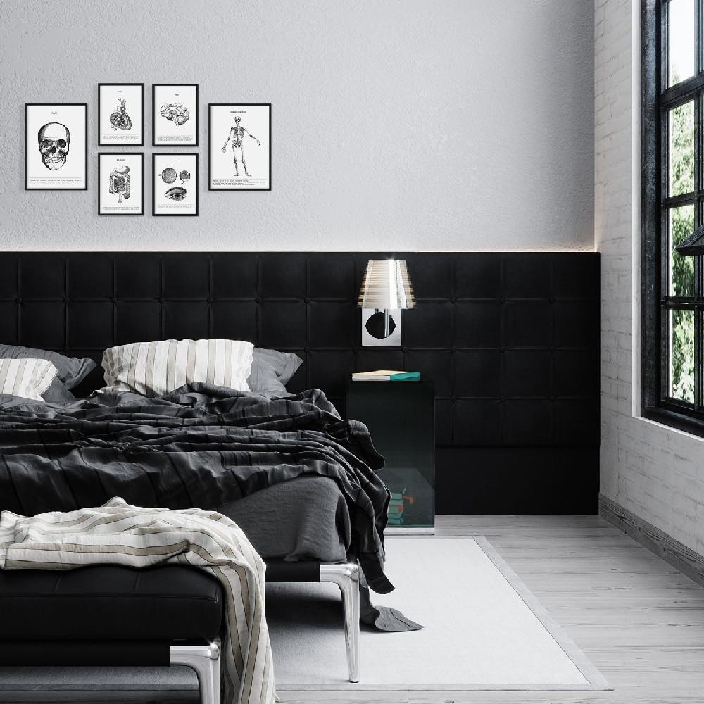 nacnic Set de 6 láminas de Órganos y huesos estilo collage