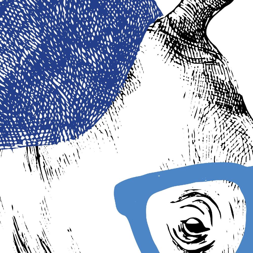 Nacnic Set De Dos Láminas De Animales Ilustrados De Alta Calidad