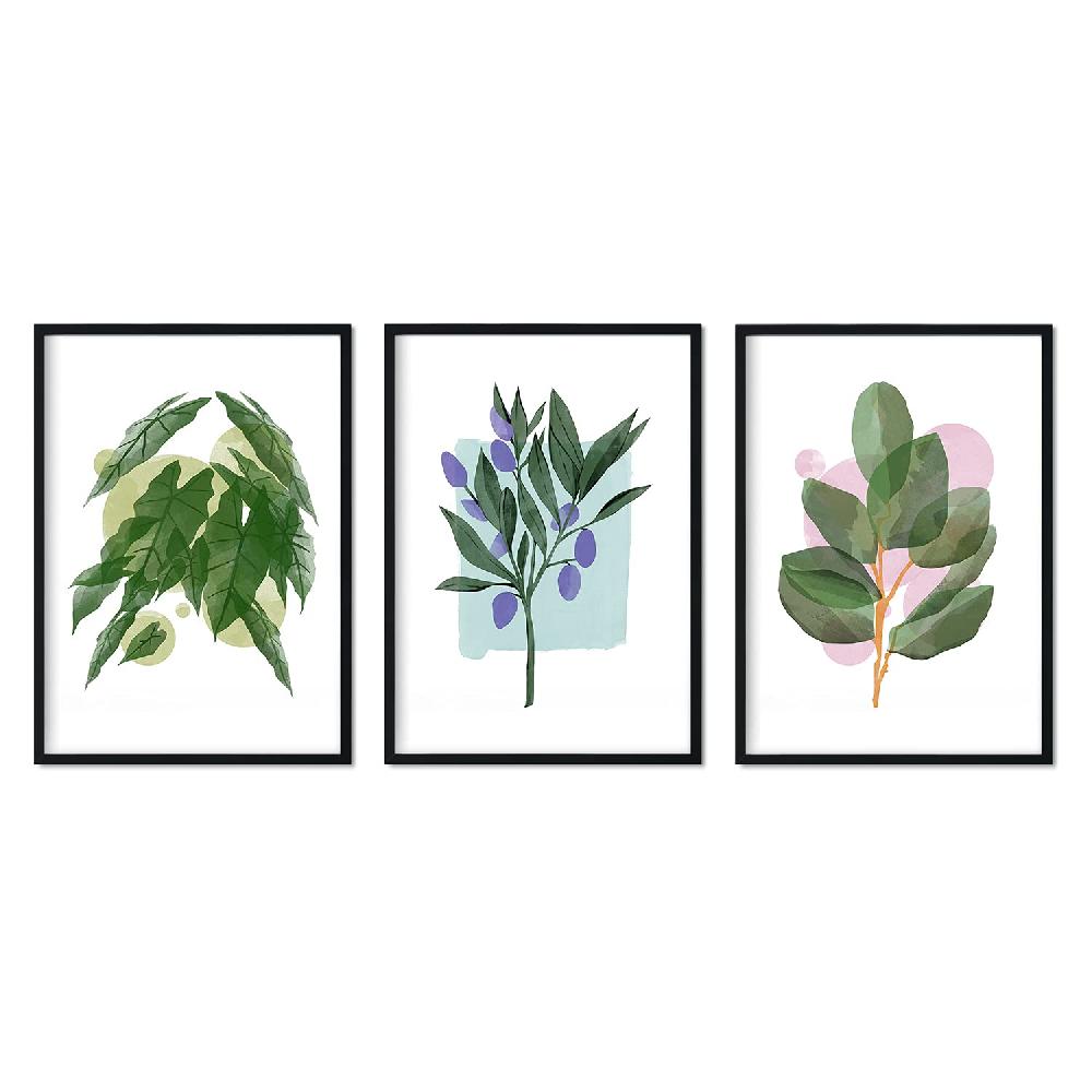nacnic Set de láminas de Plantas y Flores en Acuarela