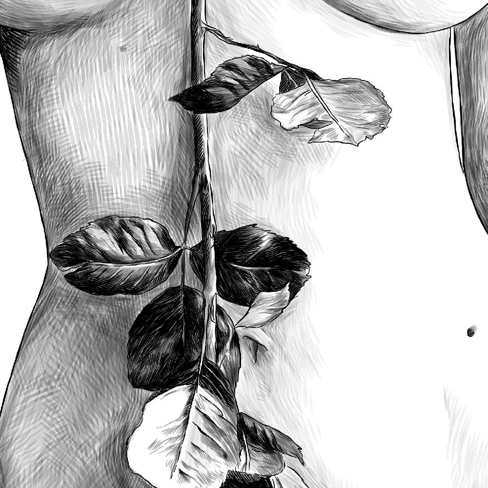 Nacnic Set De Láminas Eróticas Artísticas Del Cuerpo Femenino