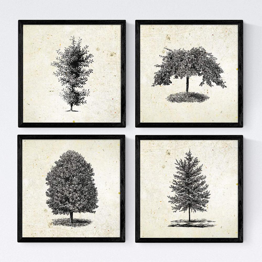 nacnic Set de láminas vintage de arboles ornamentales