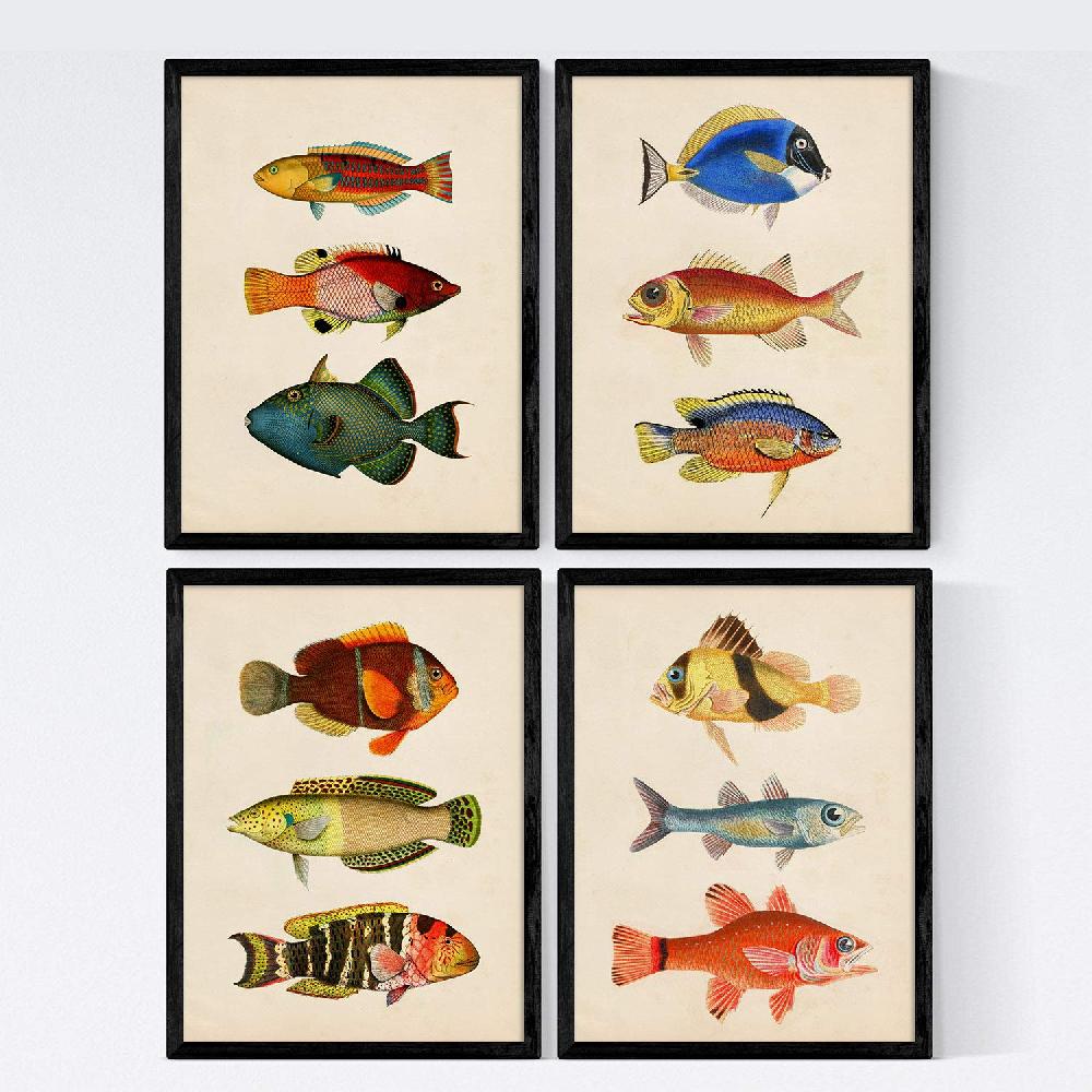 nacnic Set de Láminas Vintage de Peces Coloridos Bahamas