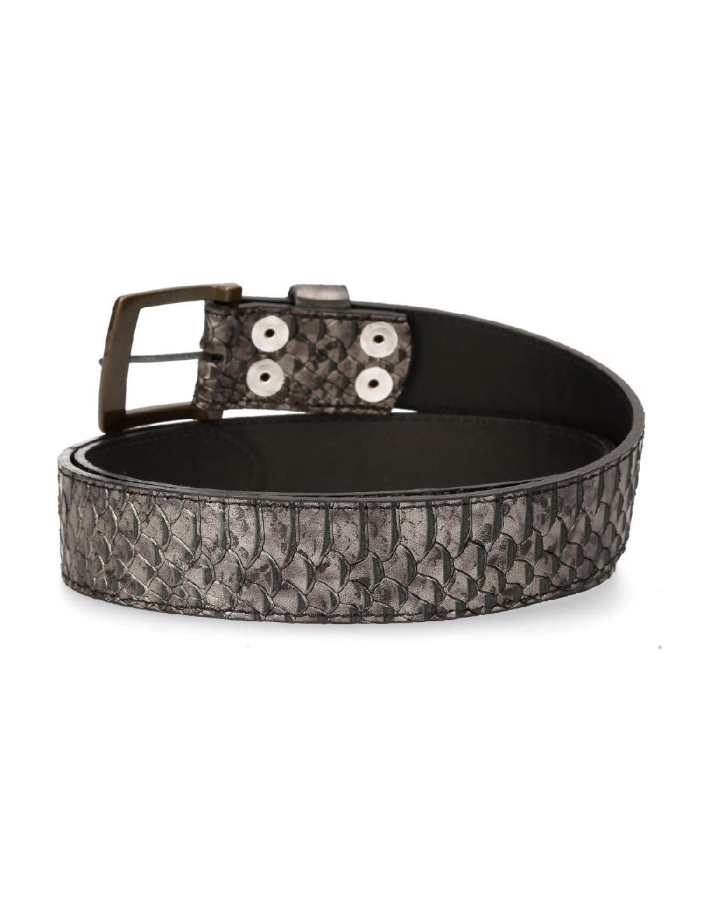 New Rock M-CINT262-S1