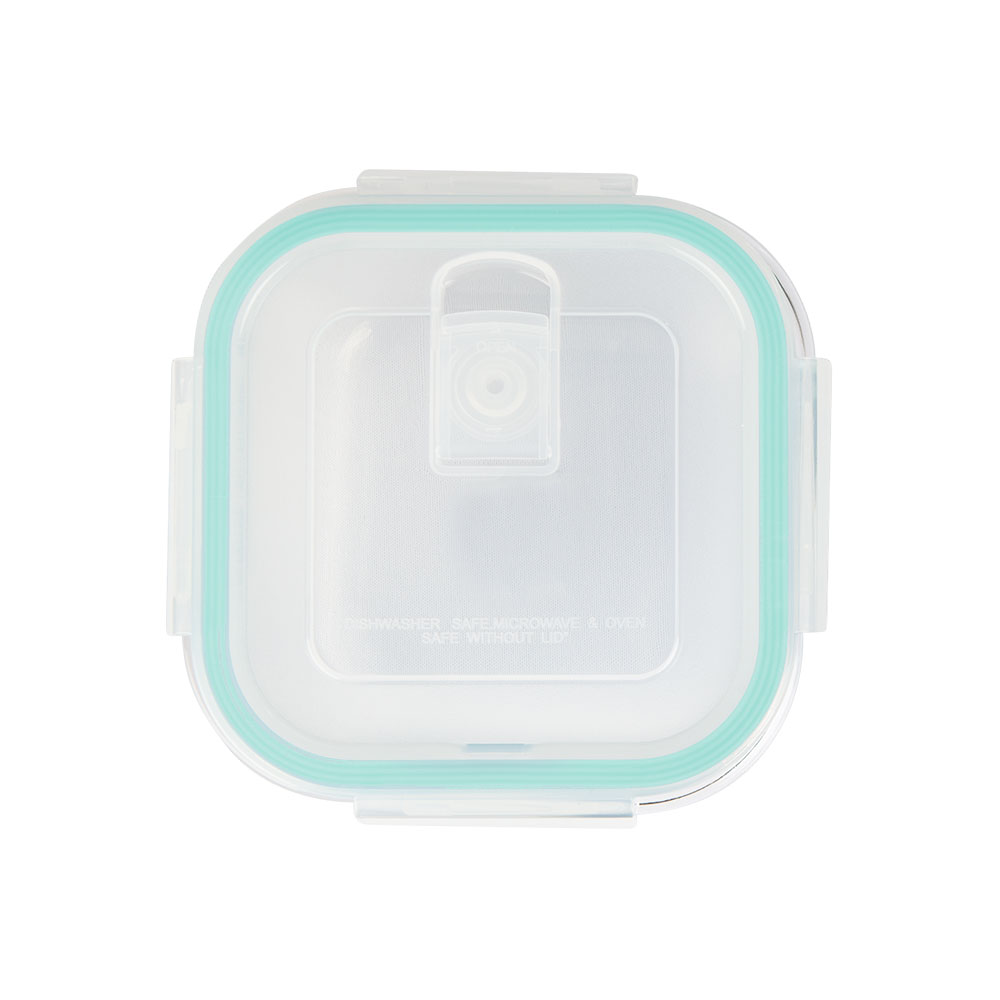 Orbegozo RECIPIENTE CUADRADO DE VIDRIO SERIE TUC