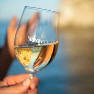 Osborne Montecillo Singladuras Albariño 2023